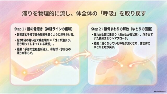 「Step 1: 腕の骨磨き」と「Step 2: 鎖骨まわりの解放」の2段階のアプローチ内容と効果を解説する2カラム構成のスライド。