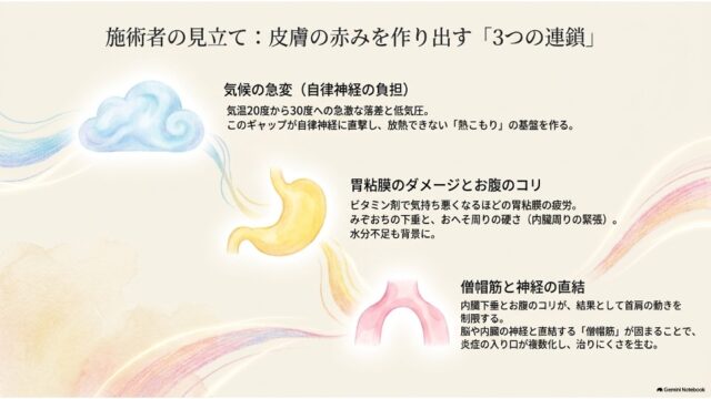 雨雲・胃・首肩（僧帽筋）の3つのイラストが描かれ、皮膚の赤みを作り出す3つの連鎖要因を解説したスライド。