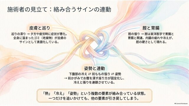 中央の結び目イラストを中心に、「皮膚と巡り」「脛と胃腸」「姿勢と連動」の3つの要素が複雑に絡み合っていることを示すスライド。