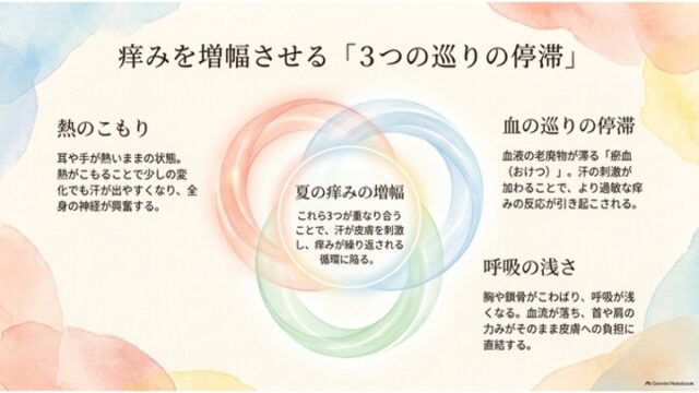 赤・青・緑の3つの重なる輪を中心に配置し、熱・血流・呼吸の3つの停滞が痒みを増幅させる仕組みを表現したスライド。