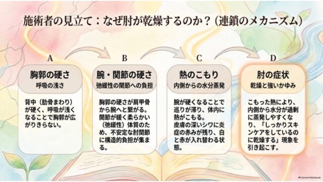 胸郭の硬さから腕の関節の負担、熱のこもりを経て肘の乾燥・かゆみに至る4段階のメカニズムを示すフローチャートスライド。
