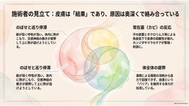 「施術者の見立て：皮膚は『結果』であり、原因は奥深くで絡み合っている」のスライド。3つの重なり合う円の図とともに、「のぼせと巡り停滞」「常在菌（カビ）の反応」「体全体の疲弊」の3要素が解説されている。
