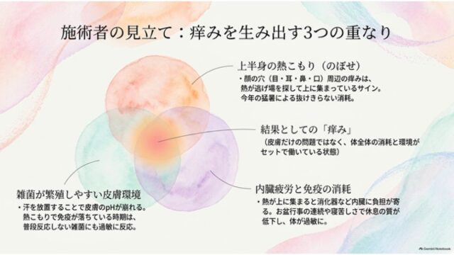 3つの円（熱こもり、皮膚環境、内臓疲労）が重なるベン図の中心に「結果としての痒み」と示されたスライド。