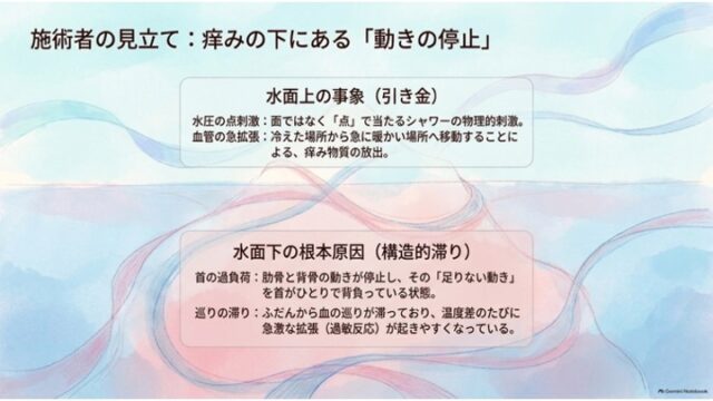 「施術者の見立て：痒みの下にある『動きの停止』」という見出しで、上段に「水面上の事象（引き金）」、下段に「水面下の根本原因（構造的滞り）」のカードが上下に並ぶスライド。