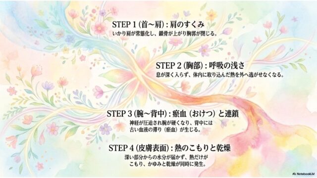STEP 1からSTEP 4まで、肩のすくみから呼吸の浅さ、瘀血、皮膚の熱・乾燥へと進行するプロセスを説明したスライド。