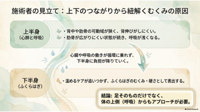 上半身の呼吸機能と下半身のふくらはぎのむくみ・硬さの関連性を矢印で示した見立てスライド。