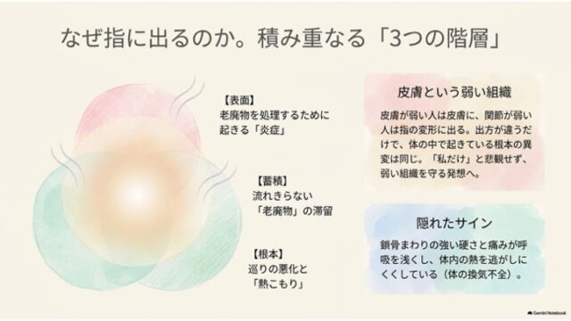 3つの重なる円のイラストで「表面・蓄積・根本」の階層を示し、皮膚の特性や鎖骨周りの硬さと熱こもりの関係を説明するスライド。