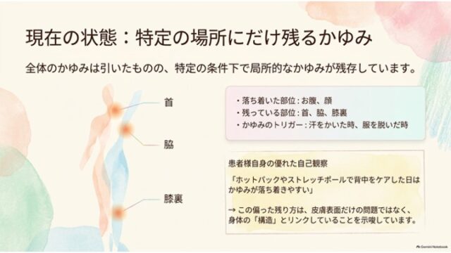 人体シルエットの首・脇・膝裏に印が付けられ、残存するかゆみの部位や発生トリガー、背中ケアで和らぐという自己観察の記録がまとめられたスライド。