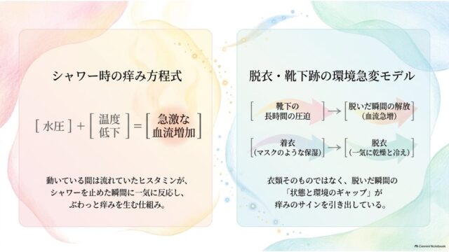 「シャワー時の痒み方程式」と「脱衣・靴下跡の環境急変モデル」が左右に並び、環境ギャップによる痒みのメカニズムを解説したスライド。