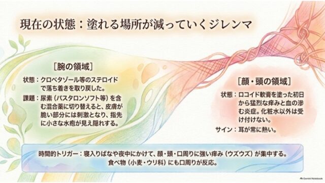 腕（ステロイドが効くが混合薬で水泡）と顔・頭（軟膏で痒み悪化・耳が熱い）の皮膚状態の違いと、夜間や特定の食べ物による痒みトリガーを説明したスライド。