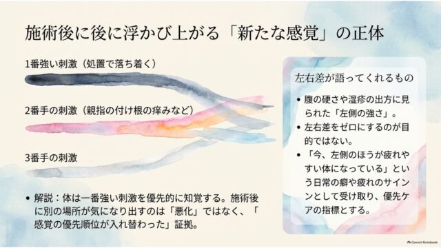 左側に3段階の刺激の優先順位を示す水彩のグラデーションラインと解説、右側のカードに「左右差が語ってくれるもの」として身体の疲労サインを読み解く要点が記載されたスライド。