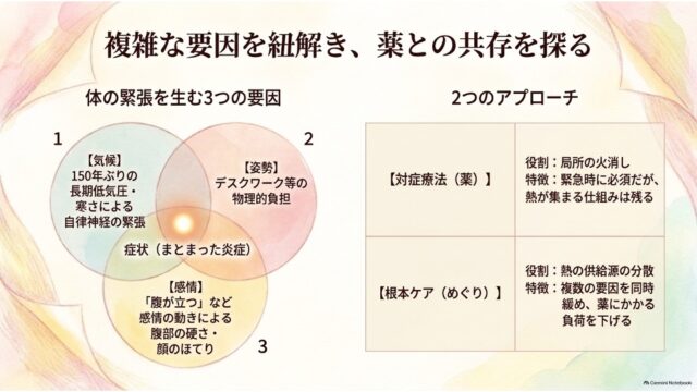 左に気候・姿勢・感情の3要因が重なって炎症を起こすベン図、右に対症療法（薬）と根本ケア（めぐり）の役割と特徴を対比させたマトリクス表を配置したスライド。