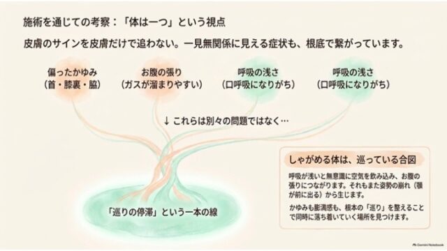 木の根のように「かゆみ」「お腹の張り」「呼吸の浅さ」という別々の症状が、土台にある「巡りの停滞」という共通の根底に繋がっていることを表した図解スライド。