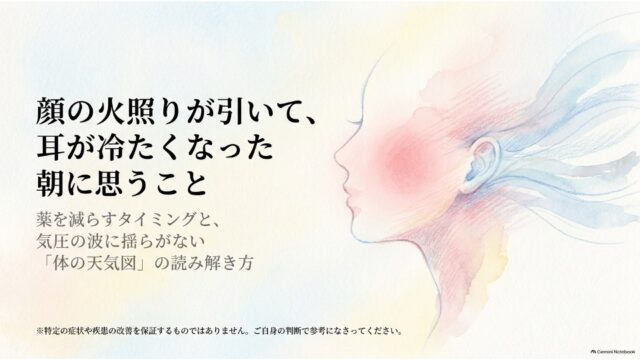 顔の火照りが引いて、耳が冷たくなった朝に思うこと