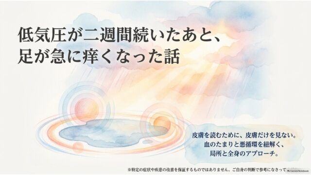 低気圧が二週間続いたあと足が急に痒くなった話―血のたまりと悪循環