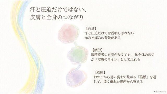 3つの淡い水彩の円が縦に結ばれたイラストの横に、皮膚症状の背景、疲労、筋膜のつながりについての3項目が箇条書きされたスライド。