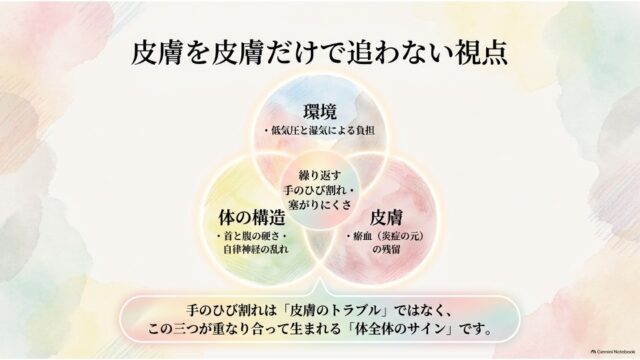 「環境」「体の構造」「皮膚」の3つの要素が重なる中心に「繰り返す手のひび割れ・塞がりにくさ」が生じていることを示すベン図のスライド。