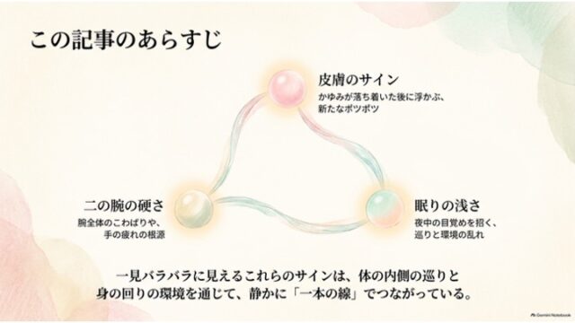 三角形に結ばれた3つの光る球体のイラスト。「皮膚のサイン」「二の腕の硬さ」「眠りの浅さ」の3要素が体の内側の巡りでつながっていることを示す概念図。