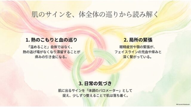 3つの円が重なり合うイラストを用いて、「熱のこもりと血の巡り」「局所の緊張」「日常の気づき」の3要素から体全体の巡りを説明するスライド。