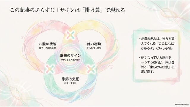 「お腹の状態」「首の連動」「季節の気圧」の3つが掛け合わさる中心に「皮膚のサイン」が位置するベン図と、その要点を解説したテキストが並ぶスライド。