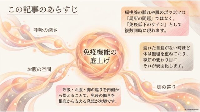 中央の「免疫機能の底上げ」を中心に「呼吸の深さ」「お腹の空間」「脚の巡り」が流線で結ばれ、あらすじを解説した3つのテキストボックスが配置されたスライド。