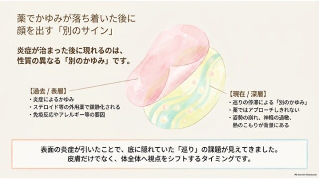 表層のピンクの皮膚がめくれ、下層の巡りを示す緑と青の層が現れるイラストを中心に、過去の炎症性のかゆみと現在の巡りの停滞によるかゆみを対比して解説したスライド。