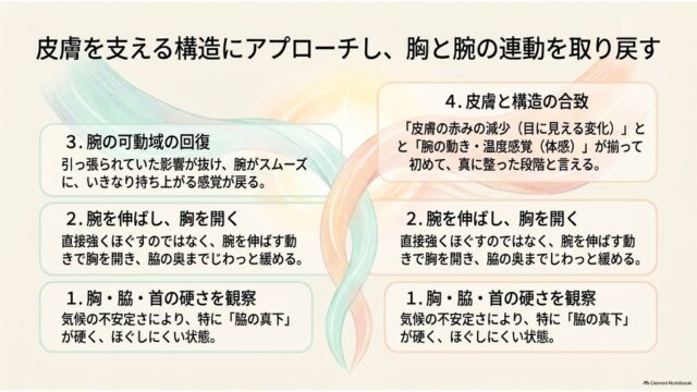皮膚を支える構造へのアプローチとして、胸と腕の連動を取り戻すための4つのステップを示すスライド。
