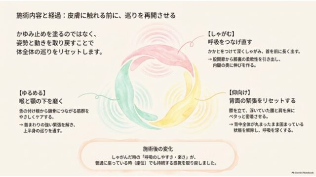 3色（ピンク・黄・青緑）の円環サイクル図を中心に、「しゃがむ」「仰向け」「ゆるめる」の3つの施術アプローチと施術後の呼吸・座位の変化を解説したスライド。