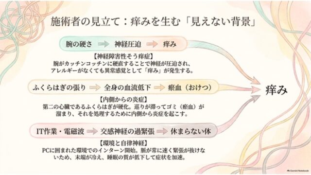 3つの原因プロセス（神経圧迫、瘀血、交感神経の過緊張）から矢印が伸びて右側の「痒み」に統合されている図解スライド。