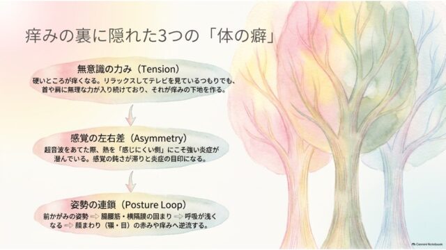 3本の水彩調の木が右側に描かれ、左側に「無意識の力み」「感覚の左右差」「姿勢の連鎖」という3つの体の癖を矢印で繋いだフロー図スライド。