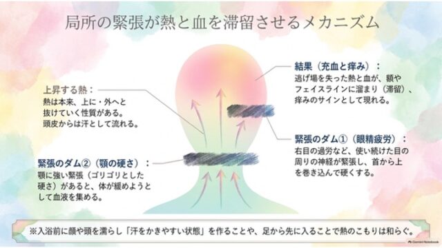 頭部のシルエットと矢印、帯状のグラフィックを用いて、眼精疲労や顎の緊張が熱と血の滞留を引き起こし、痒みにつながるメカニズムを図解したスライド。