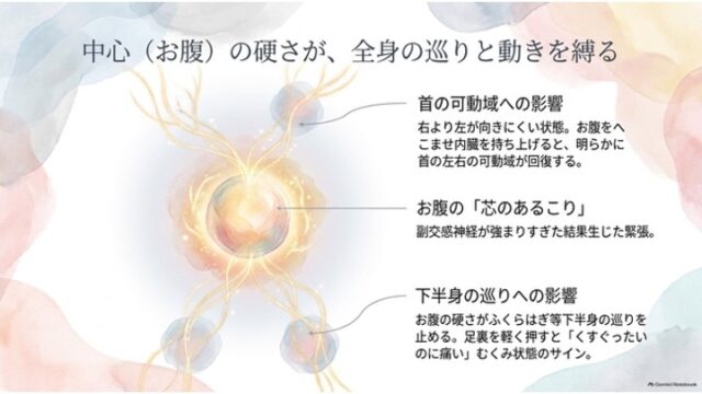 中央の発光する球体から上下左右へ神経やエネルギーのような線が伸びる図と、首・お腹・下半身の連動性を説明するテキスト。