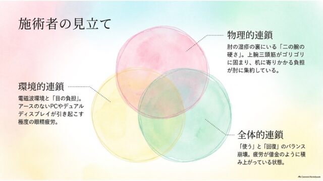 3つの円が重なり合うベン図を用いて、物理的連鎖、環境的連鎖、全体的連鎖という3つの視点からの見立てを解説したスライド。