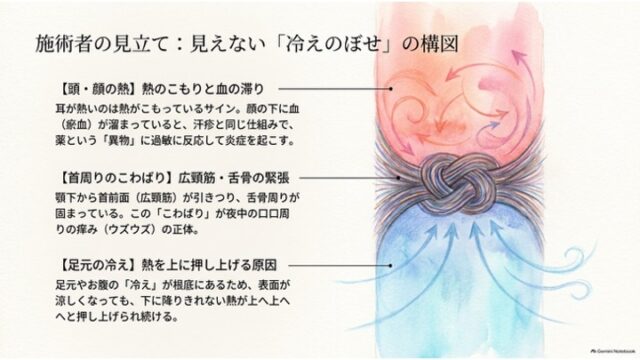 首周りの筋肉の緊張を「固結び」に見立て、足元の冷えが熱を頭部へ押し上げて顔の炎症や痒みを引き起こす「冷えのぼせ」のメカニズムを示した図解スライド。