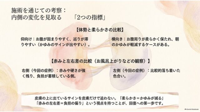 淡いピンクと青の水彩シルエットを背景に、「体勢によるお腹の柔らかさの違い（仰向けと横向き）」と「皮膚の赤みの左右差」の2つの指標を比較解説したスライド。