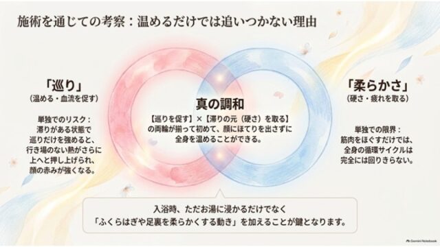 赤い輪「巡り」と青い輪「柔らかさ」が交差し中央で「真の調和」を生み出すことを表したベン図形式の考察イラスト