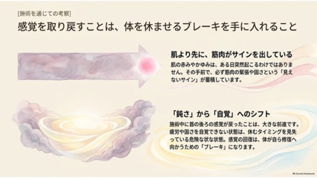 矢印と光の器のイラストを左右に配し、筋肉が先に出す見えないサインと、感覚の鈍さから自覚への回復が休息のブレーキになるという考察をまとめたスライド。