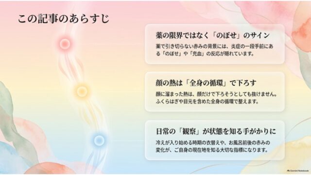 「この記事のあらすじ」と題された目次スライド。左側に縦に並ぶ赤・黄・青の3つの光のグラデーションアイコンと、右側に「のぼせのサイン」「全身の循環」「日常の観察」を解説した3つの半透明カードが並んでいる。