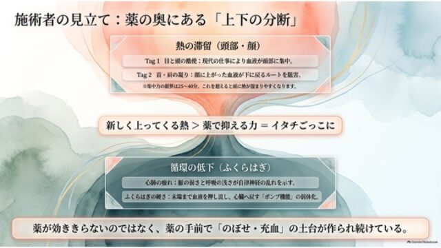 「施術者の見立て：薬の奥にある『上下の分断』」と題されたスライド。中央に上下に分かれる枝のようなイラストがあり、上部に「熱の滞留（頭部・顔）」、中央に「イタチごっこ」のバー、下部に「循環の低下（ふくらはぎ）」、最下部にまとめの文が配置されている。