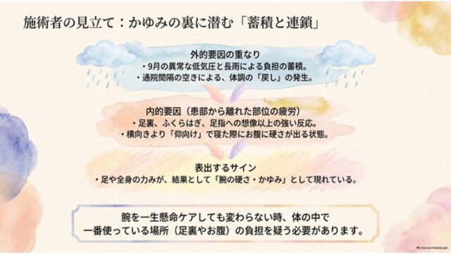 雨雲のイラストを添えた「外的要因」、足や腹部の疲労を示す「内的要因」、そして「表出するサイン（腕のかゆみ）」が上下の矢印で連鎖している様子を示した概念図スライド。